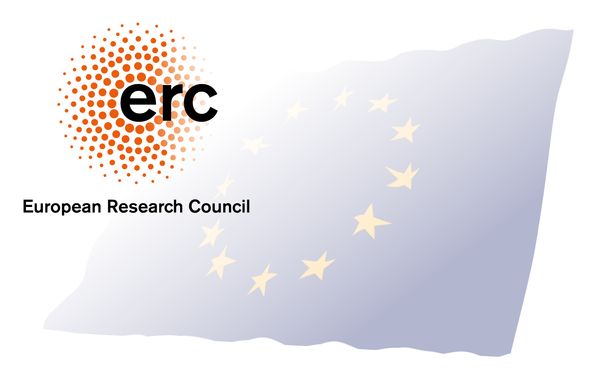 ERC Advanced Grant for the Reymond Research Group